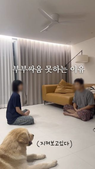 저흰 얘 때문에 못싸워요..#천사견