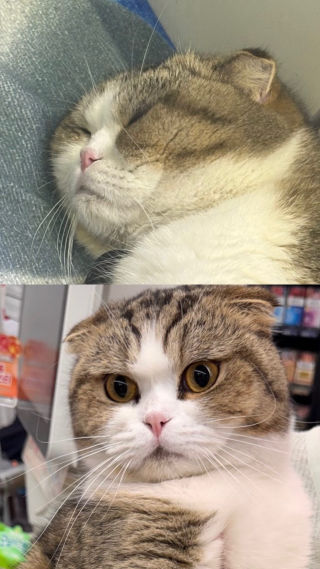 어이가 없다