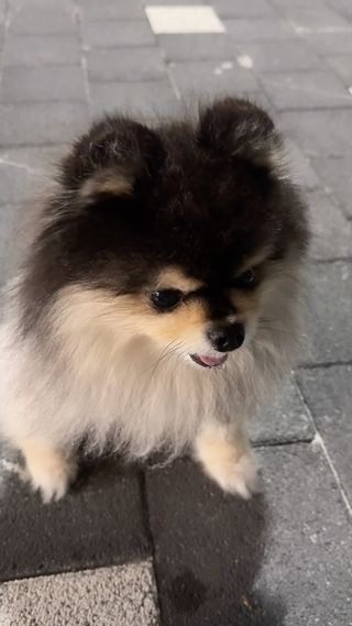 덥다 했잖아