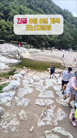 계곡 거센 급류의 위험성
주변 지인들에게 꼭 공유하시고 안전에 유의하세요.. (해당영상 무단복제불펌금지합니다)

🚨계곡 급류가 치명적인 5가지 이유🚨

 •깔때기 효과 (병목 현상)
산 정상 근처에 내린 비가 좁은 계곡 골짜기로 한꺼번에 모여듭니다. 유역 면적은 넓은데 물길이 좁아 수류 속도가 폭발적으로 증가합니다.

• 예고 없는 수위 급상승
내가 있는 곳에 비가 오지 않더라도, 상류에 비가 내리면 단 5~10분 만에 수위가 수 미터 높이로 갑자기 불어납니다.

• 무릎 높이로도 성인을 휩쓰는 수압
물속에서는 부력 때문에 몸이 가벼워집니다. 무릎 정도 깊이의 급류(초속 2m 이상)만으로도 성인이 중심을 잃고 그대로 떠내려가게 됩니다.

• 수중 암석과 거친 와류(소용돌이)
급류에 휩쓸리면 물속의 날카로운 바위, 부러진 나무 등에 강하게 충돌합니다. 또한 강한 와류로 인해 물 밖으로 머리를 들이밀지 못해 익사 위험이 급증합니다.

• 고립 및 탈출 불가
계곡 양옆은 경사가 가파르고 바위가 미끄러워 수위가 높아지면 위로 올라가기가 어렵고, 이동통신 신호가 터지지 않아 구조 요청도 지연되기 쉽습니다.

#계곡 #위험 #설악산 #물놀이 #여름휴가