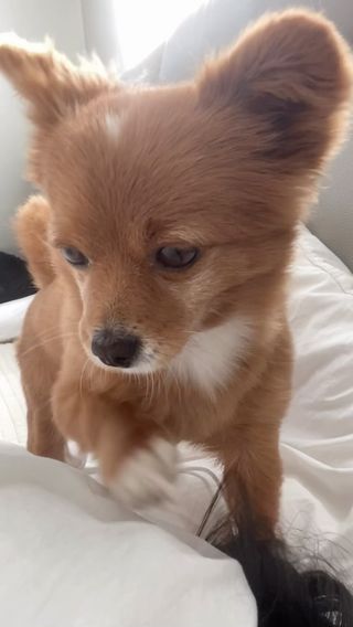레전드 모닝콜 가나지