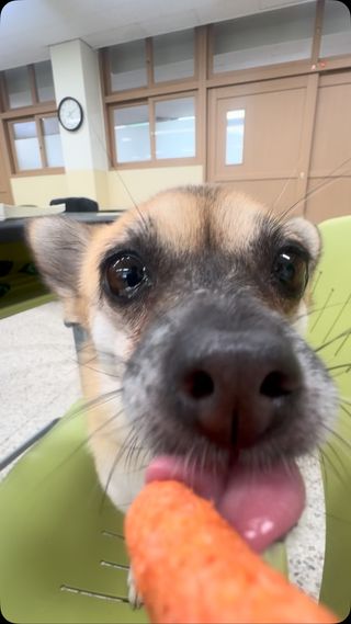 와스엠알