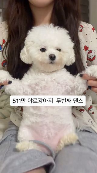 출렁출렁

#DAYOUNG  #jaypark #FLIRTY #flirty_challenge