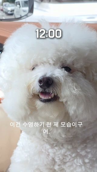 어푸어푸 🏊