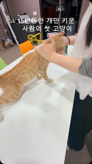 이렇게 예뻐해주는거 맞나요?