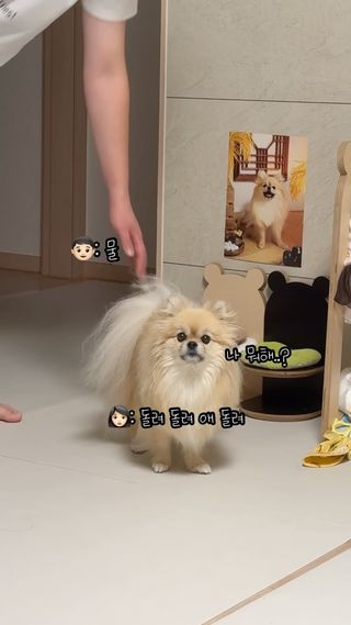 물 마시는 법을 까먹은 갱이씨