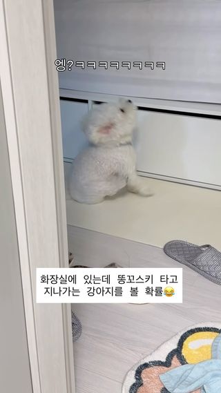 거기다가 똥꼬스키도 평범하지않음 ..
