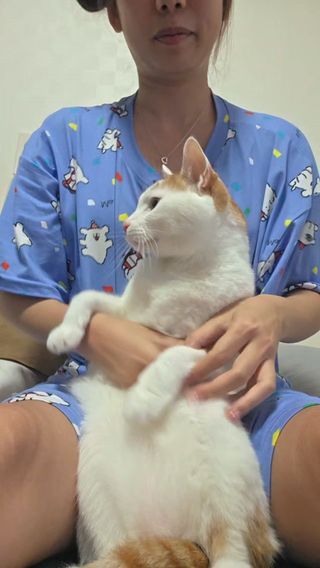 #개냥이 #쿵푸어리 #고양이 #릴스 #어리버리