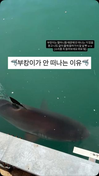 부캉이 보러 갔다가 나도 같이 위로 받고 왔어용 ㅠㅠ #부캉이 #10월2일 #그물작업전