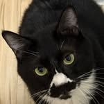 floor.maru
