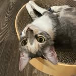 semo.luna0.o