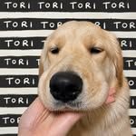 toriipark